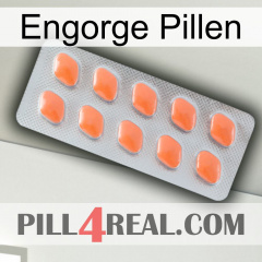 Engorge Pills 26